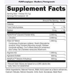 BUCKED UP, PREMIUM PUMP-OCALYPSE, пампинговый предтренировочный комплекс вкус Черника-Гранат, 372 г (30 порций) 